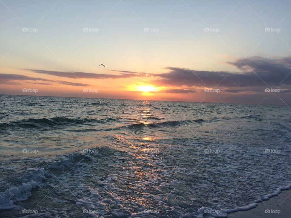 Florida Sunset