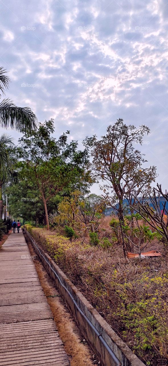 Nature in Natural color, photos with no filters looks absolutely amazing, refreshing and original