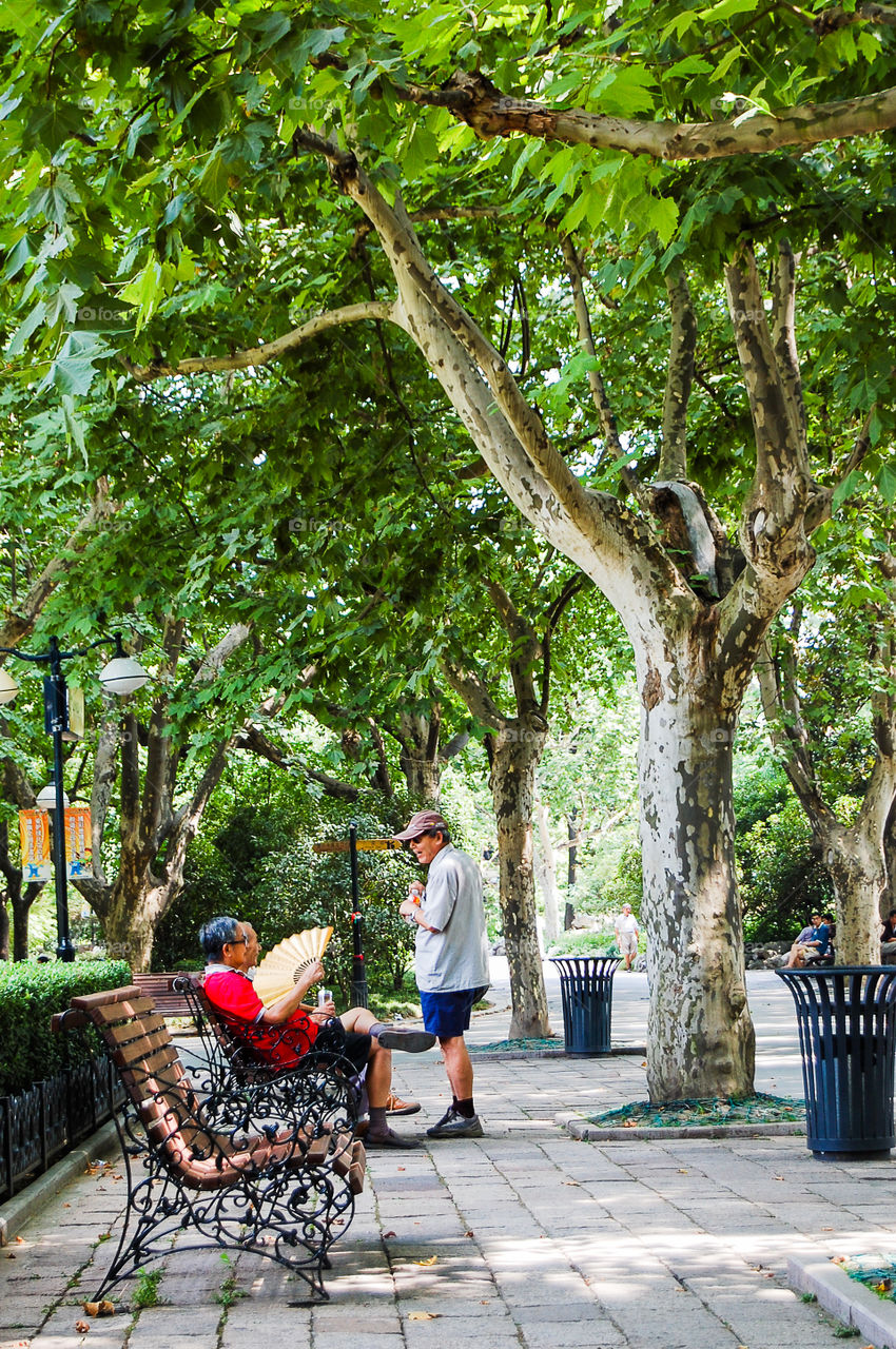 Park in Shanghai