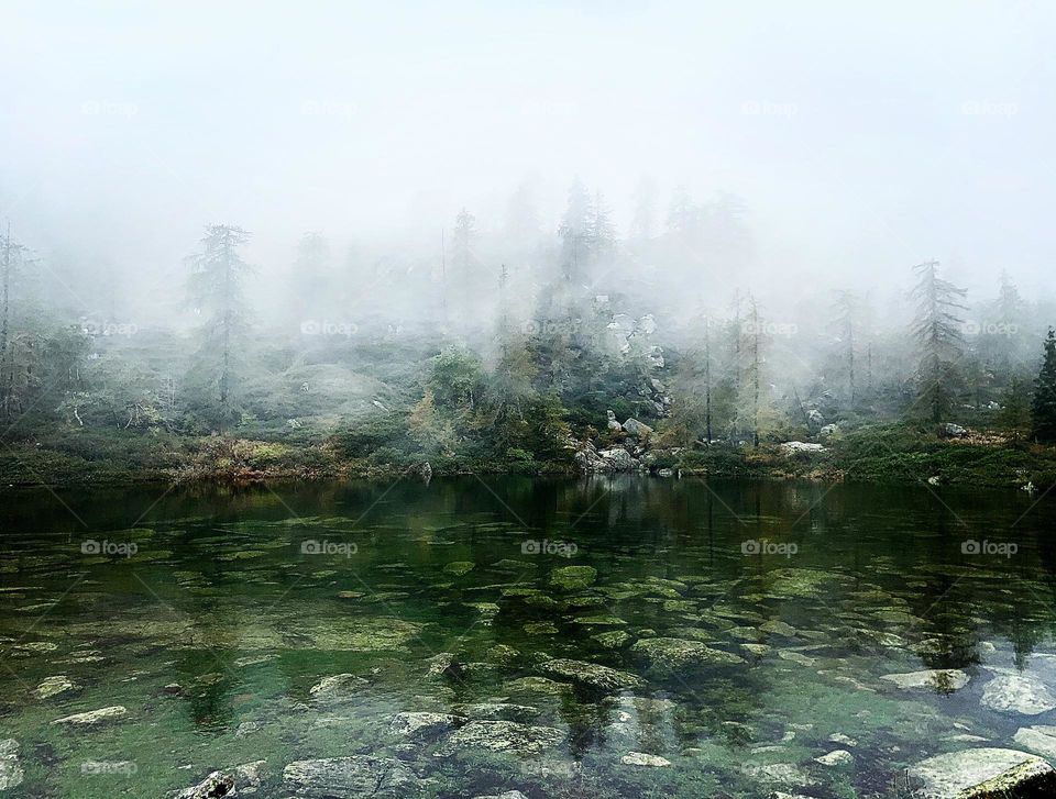 Fog on the lake