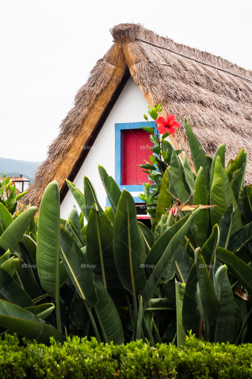 Typical house of Santana in Madeira 