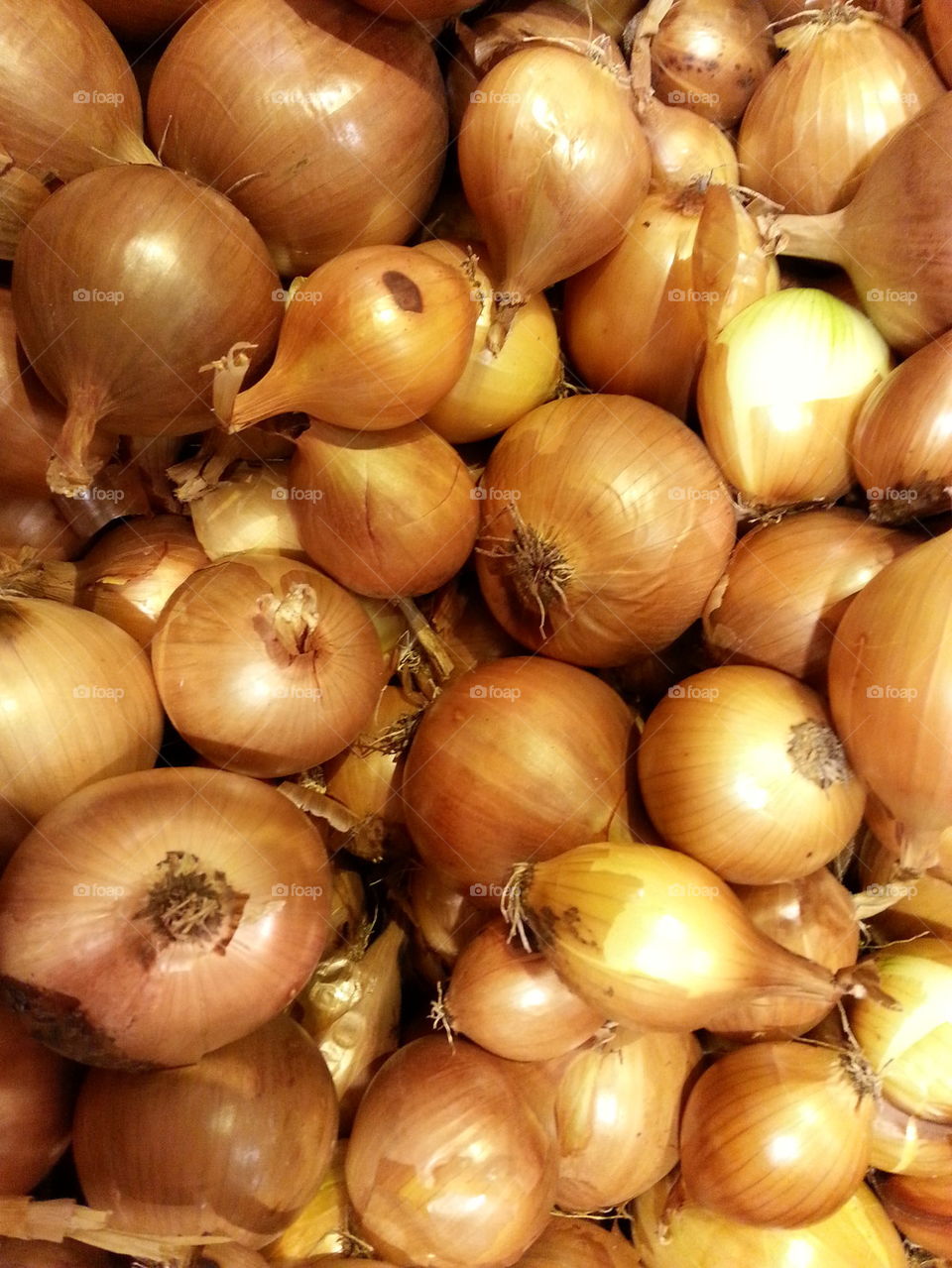 onions