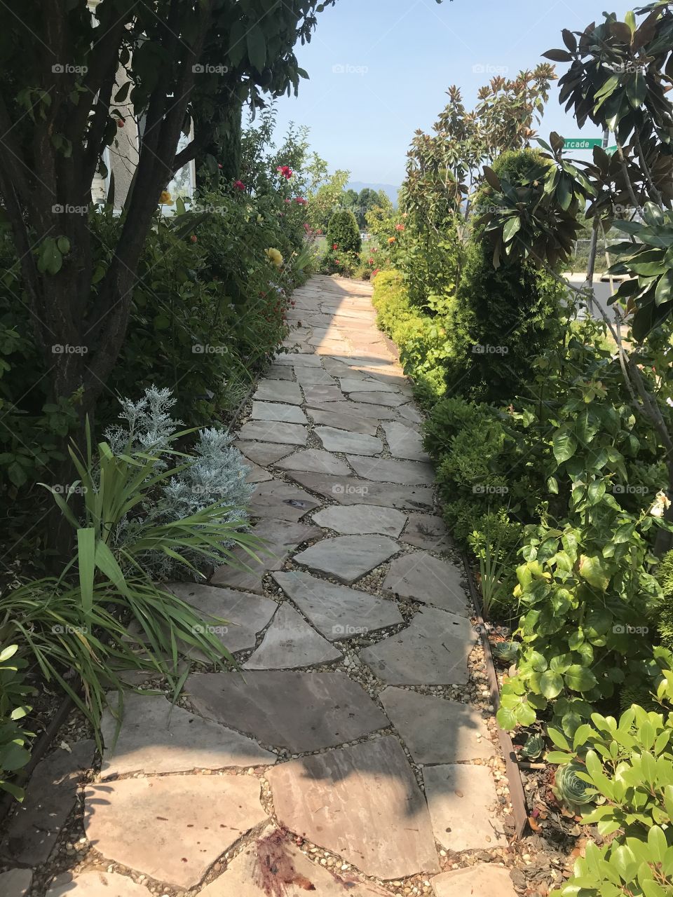 Along the garden path 