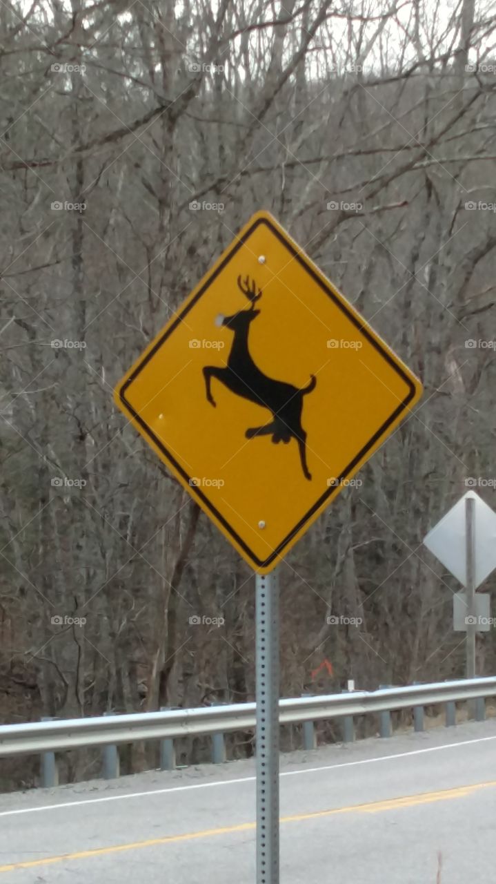 Buck crossing?