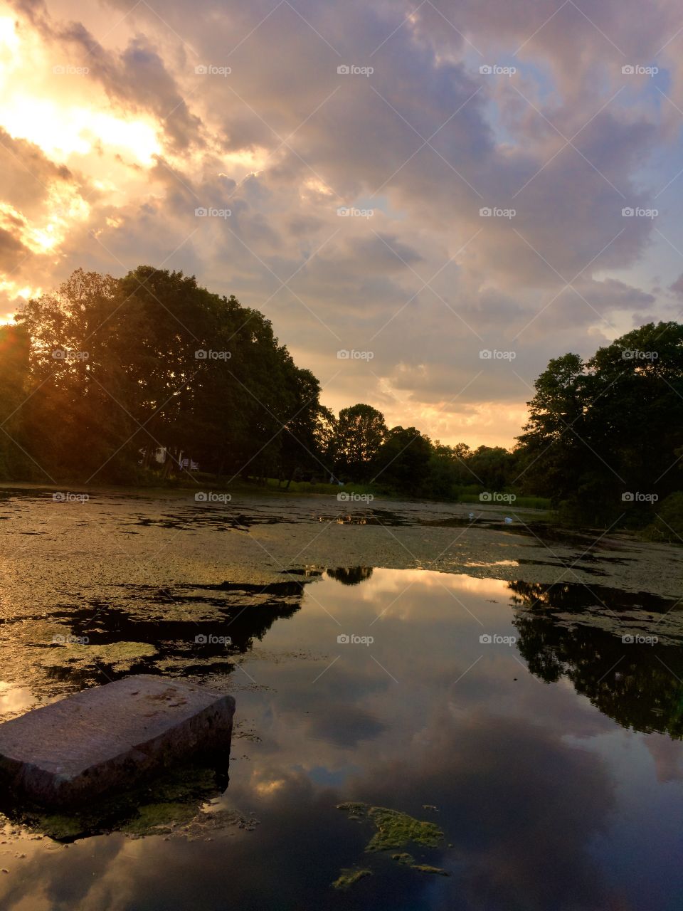 My iPhone captured this view of Golden Hour Sunset over Butterfly Pond in Lincoln, RI USA, with silhouetted trees and placid water reflection of the clouds and sky illuminated by an ethereal Golden light.