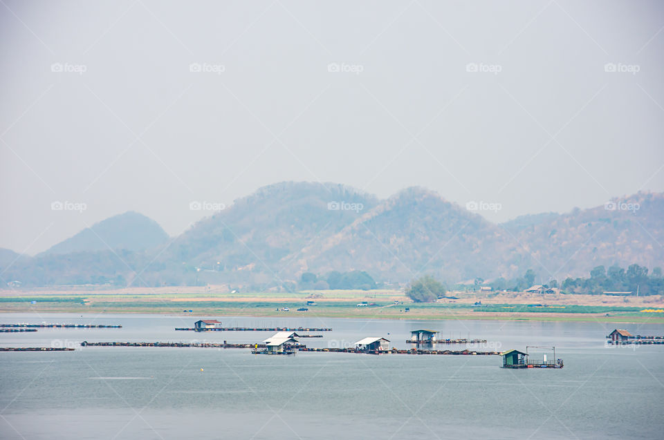 The raft floating fish farming and birds in Krasiew dam ,Supanburi Thailand.