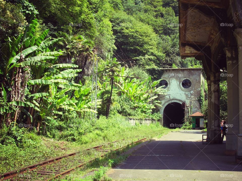 Abandoned tunnel for the train in subtropical region of Abkhazia