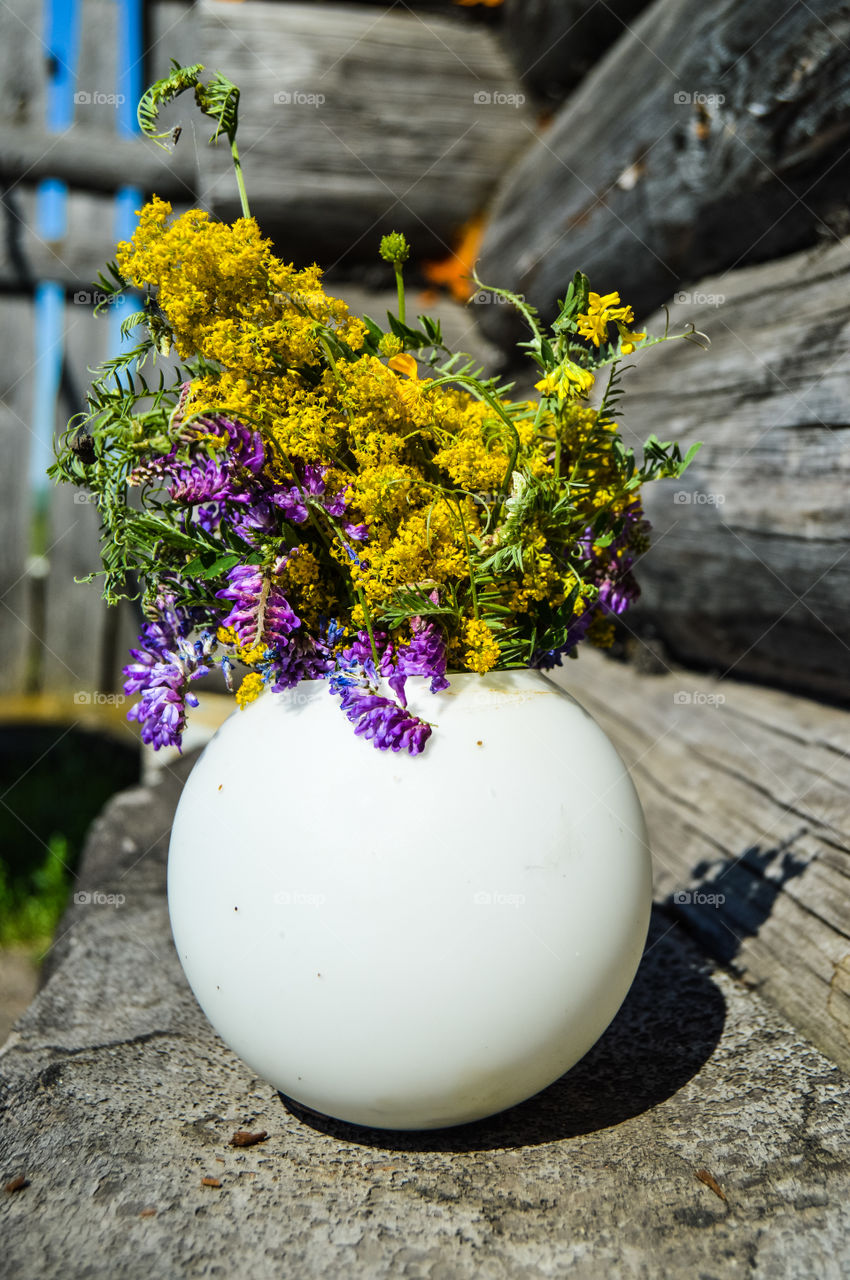 The best miracle of the Earth - flowers!
 
Flowers are the decoration of the earth. Flowers are the decoration of summer. Without flowers, earthly life would lose its charm altogether. Flowers are the smiles of the sun