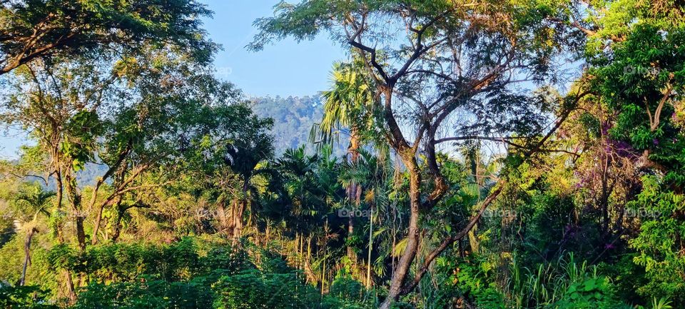 “There is a pleasure in the pathless woods,
There is a rapture on the lonely shore,
There is society, where none intrudes,
By the deep sea, and music in its roar:
I love not man the less, but Nature more”