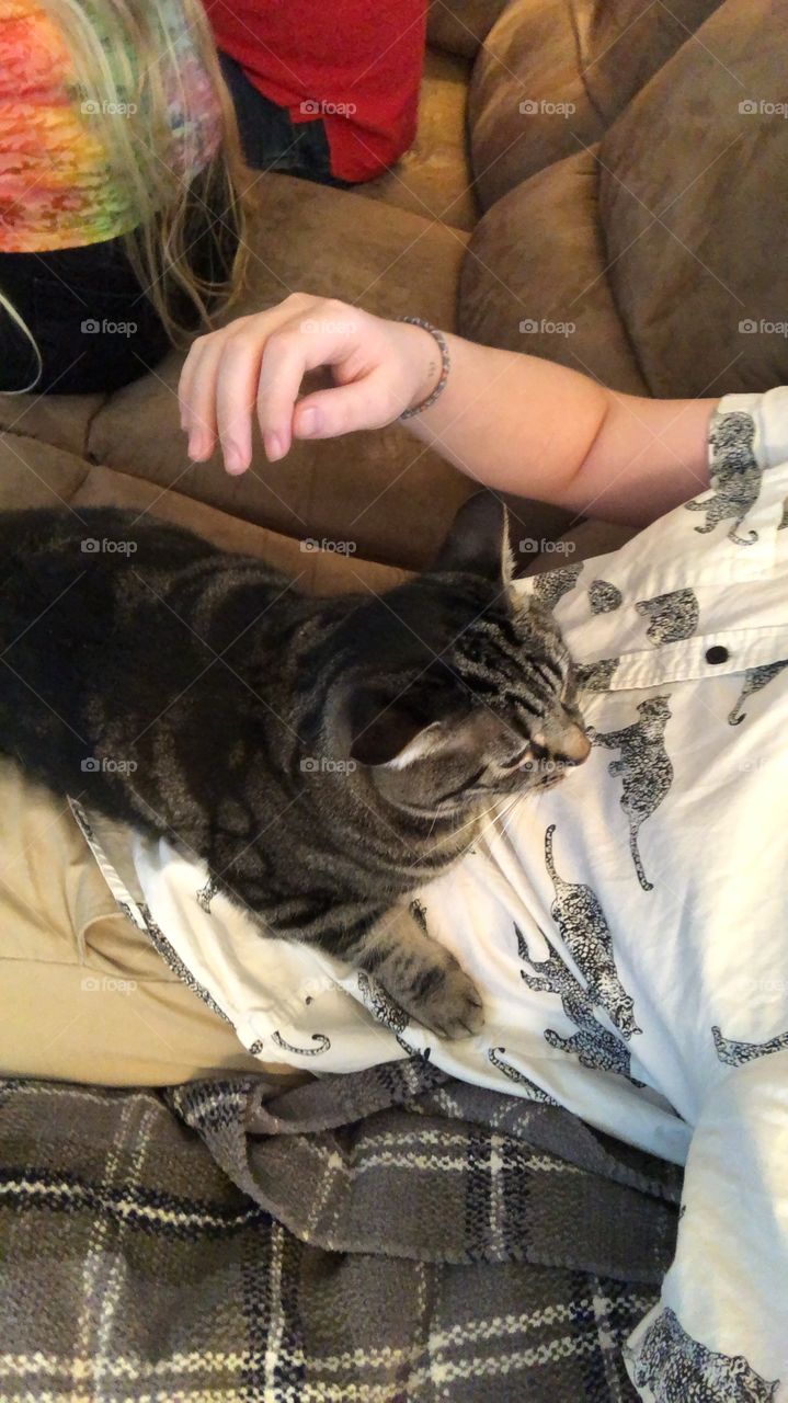 tabby cat sitting on boy's lap hugging and being pet on couch