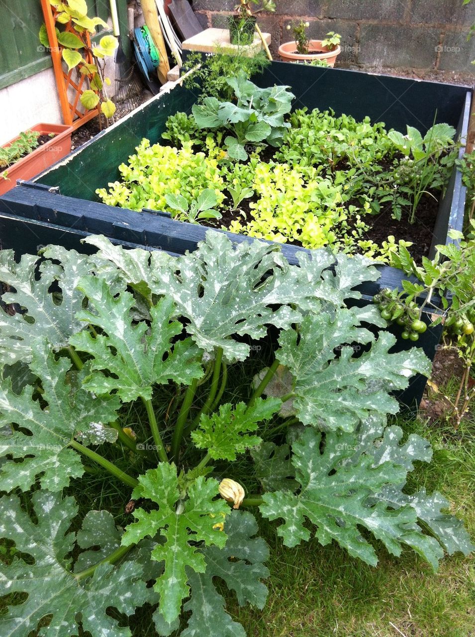 Benefiting from compost 