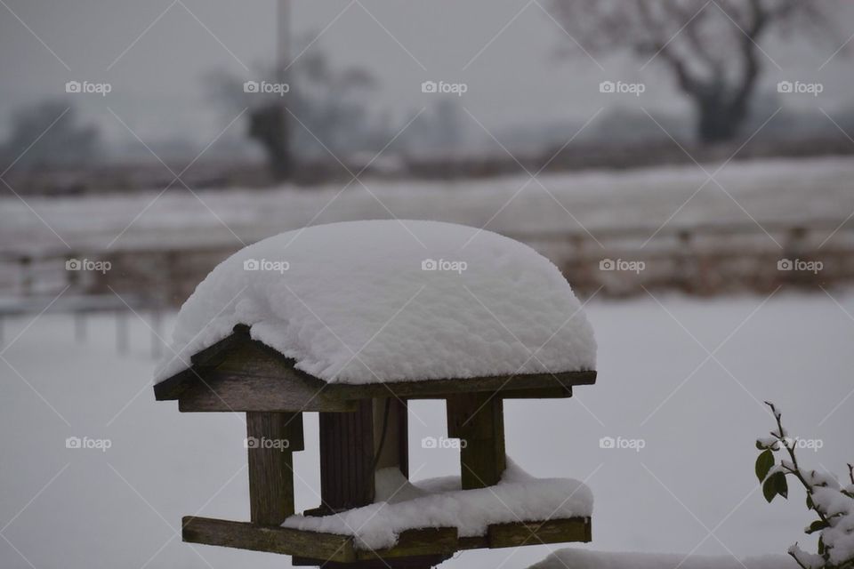 Bird table