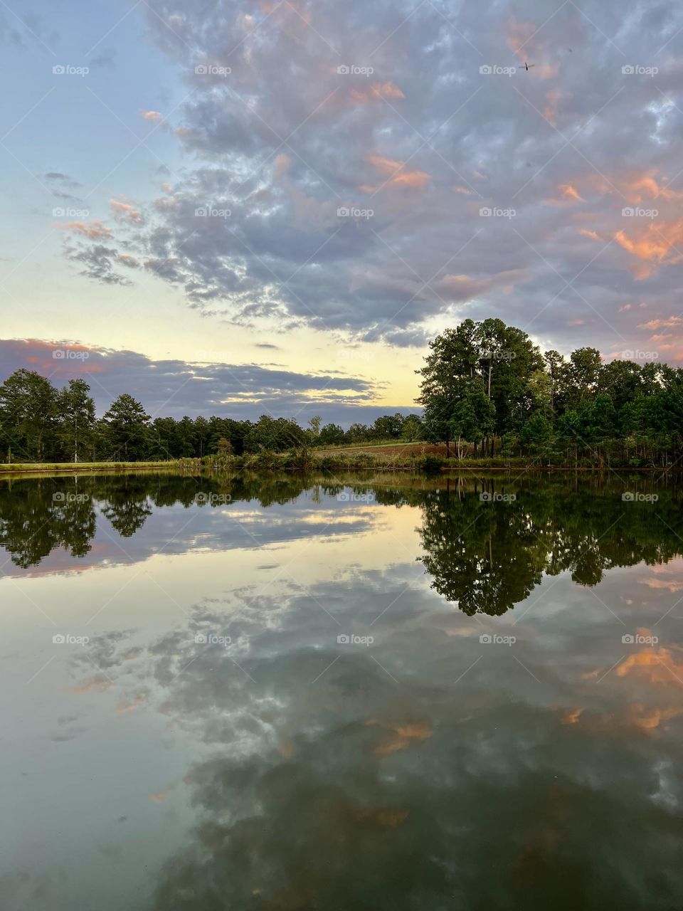 Late afternoon sunlight paints pink and violet highlights on the clouds, making them the star of the show. Beauty is doubled as the countryside sky is reflected in the still waters of the pond.