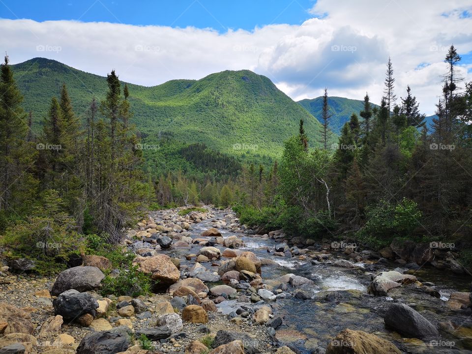 River in the middle of picturesque landscape. National park of Gaspésie. Québec. Canada.