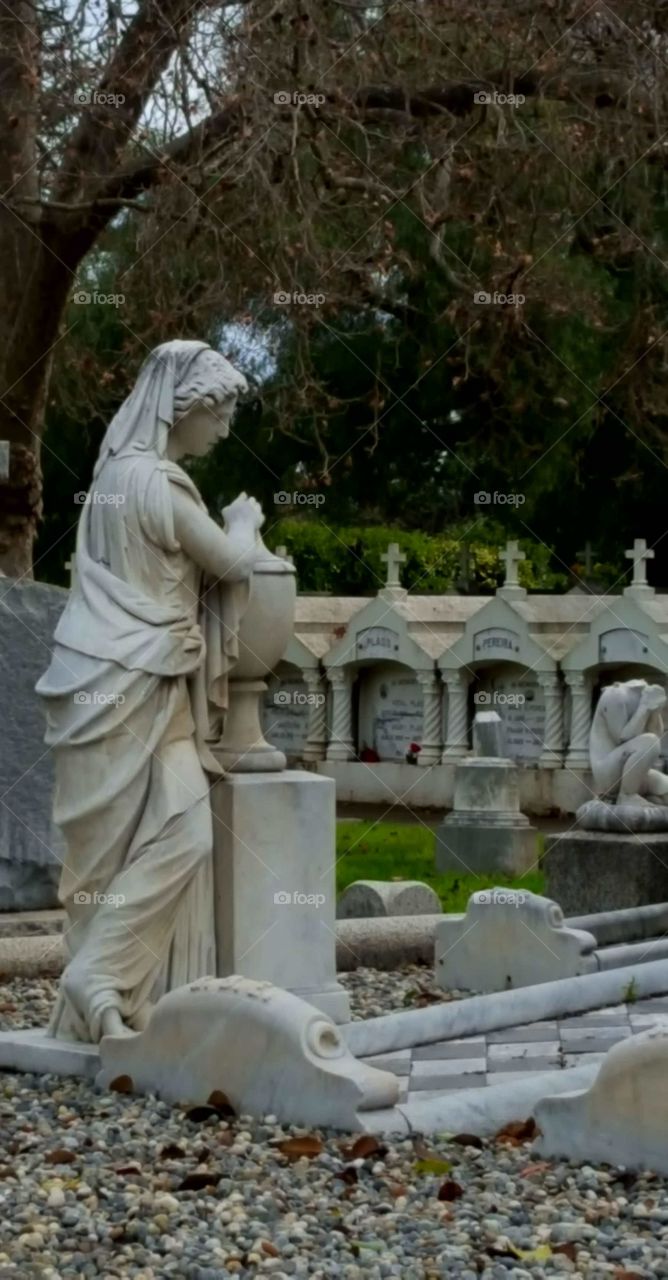 another further out view of the greek godess statue watching over a family gravesite.