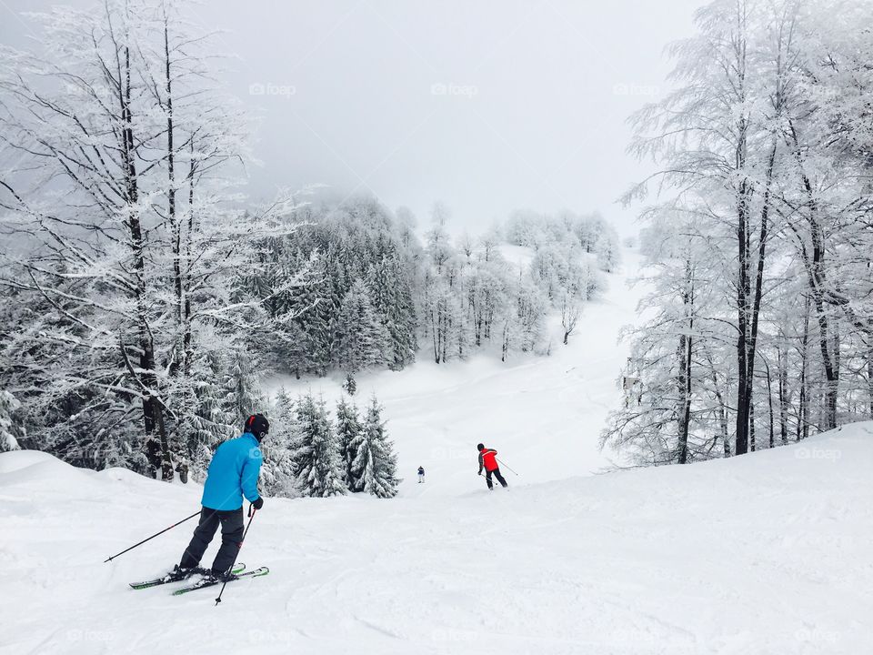 Skiers on the ski slope surrounded by snowy forest