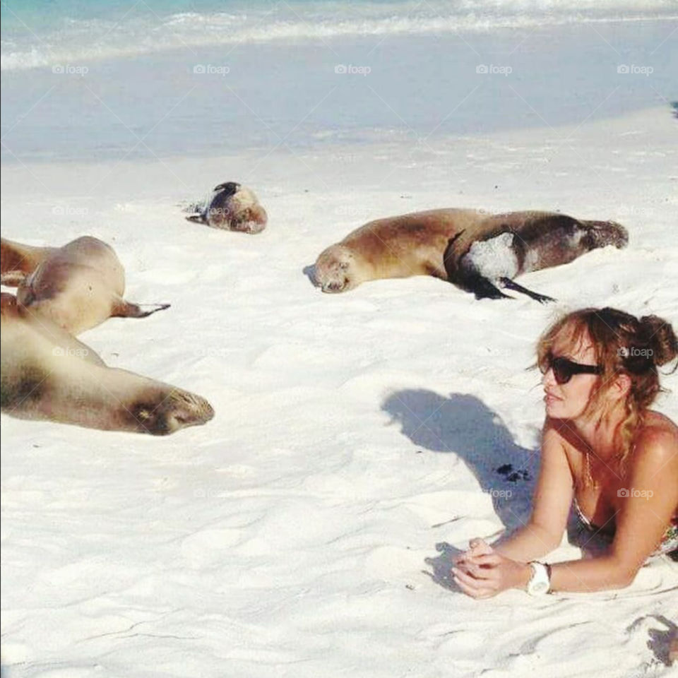 Woman lying on beach with seal