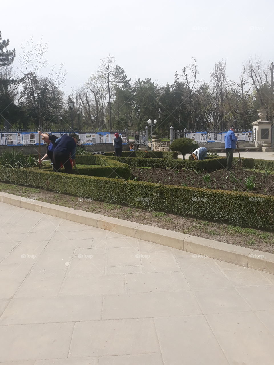 cleaning in the garden
