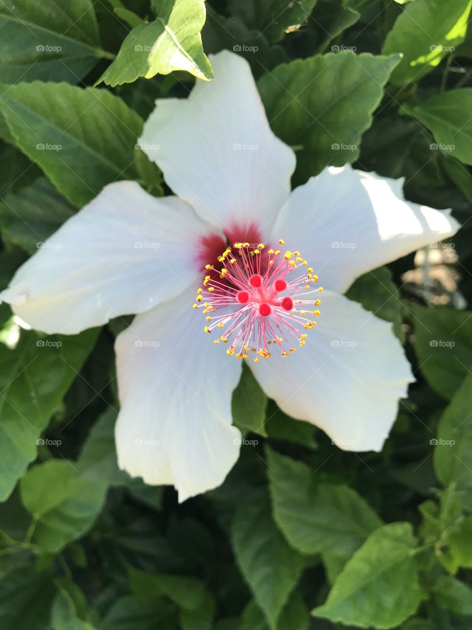 Gorgeous beautiful nature at it’s finest 