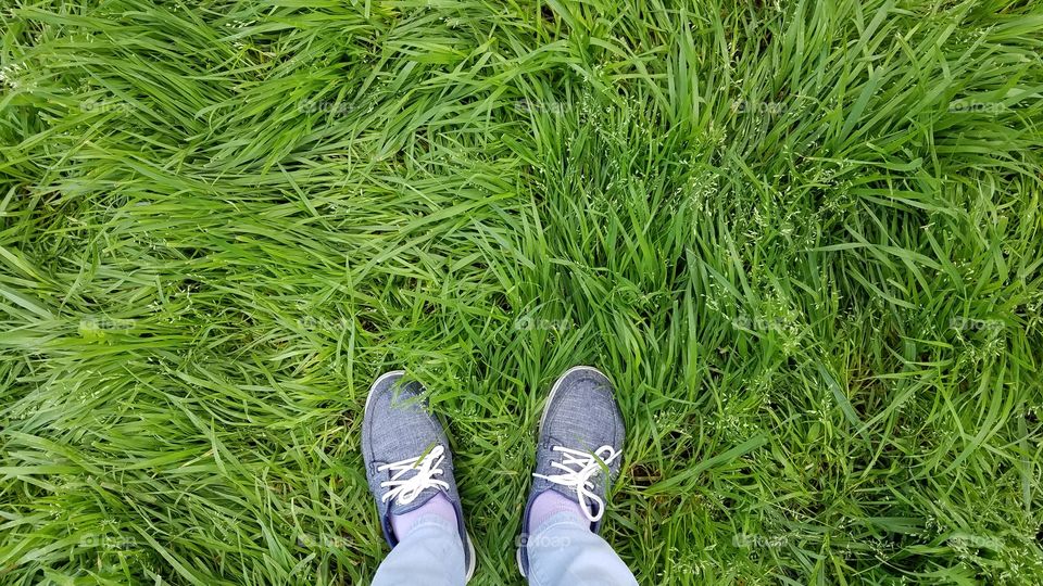 Walking on the grass