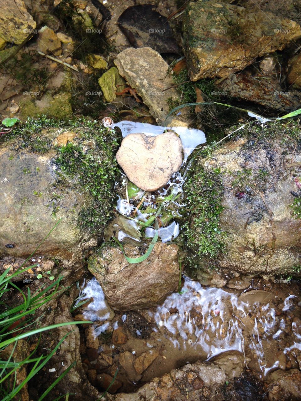 Heart of stone . Natural stream 