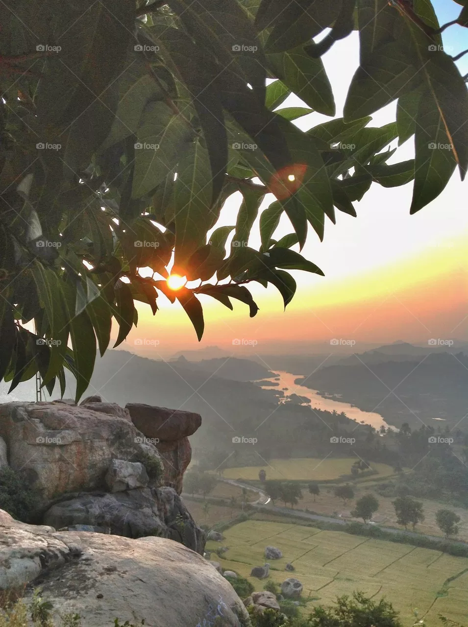 Sunrise