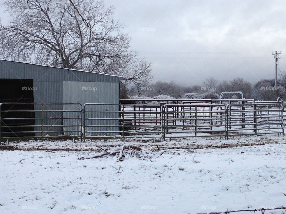 Snow day in Texas. 