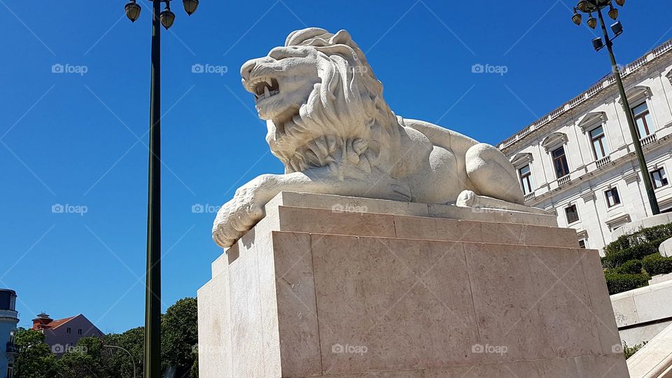 The lion king of Lisbon. Right in front of the government building.  Great view and with honour.