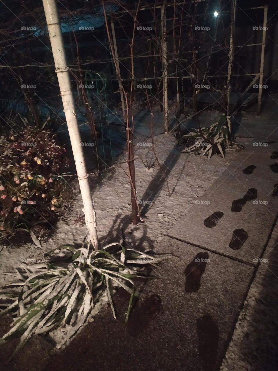 Footprints in the snow