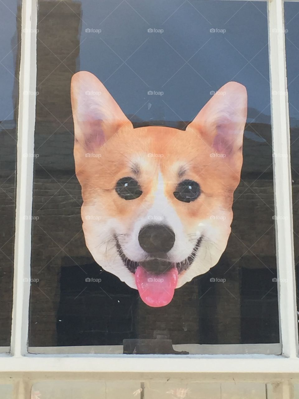 Weird corgi window sticker