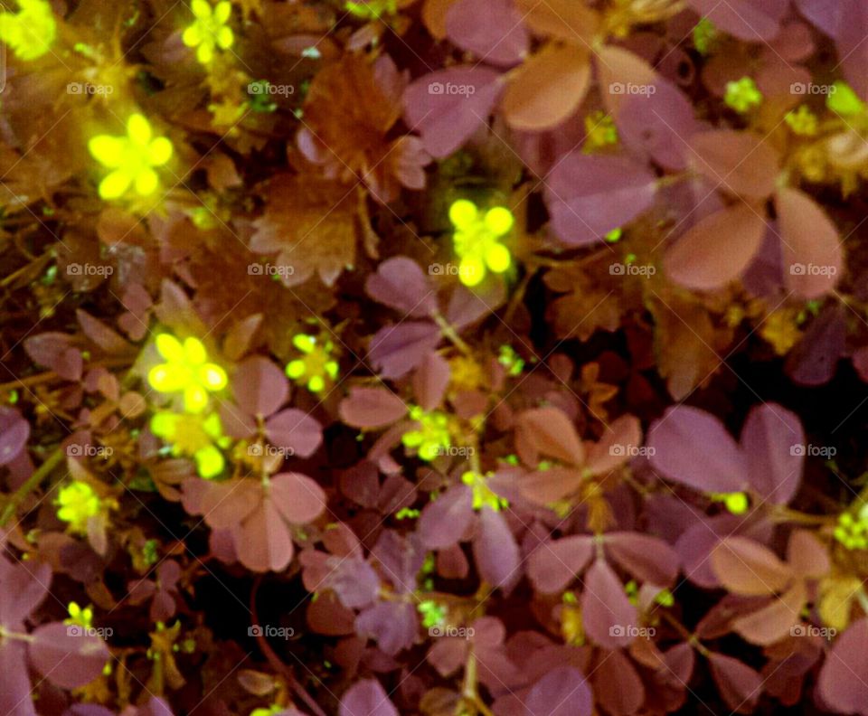 Spring is in the air