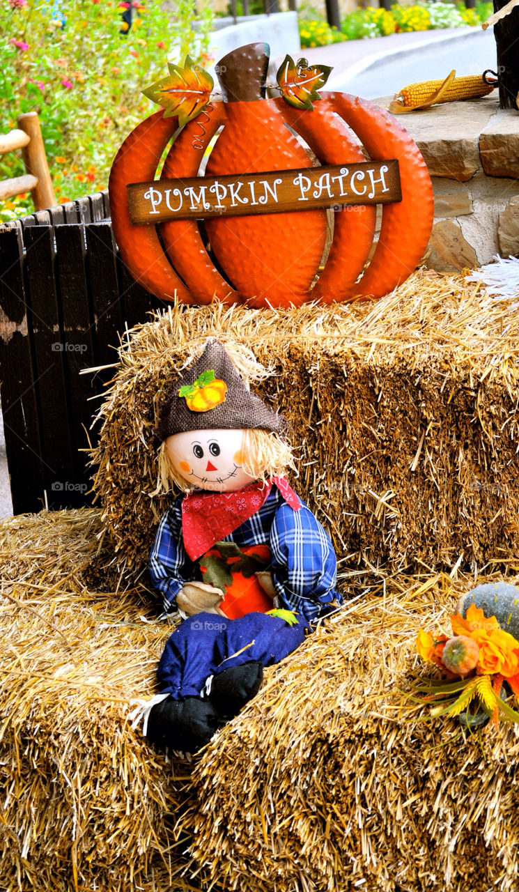 patch autumn pumpkin hay by refocusphoto