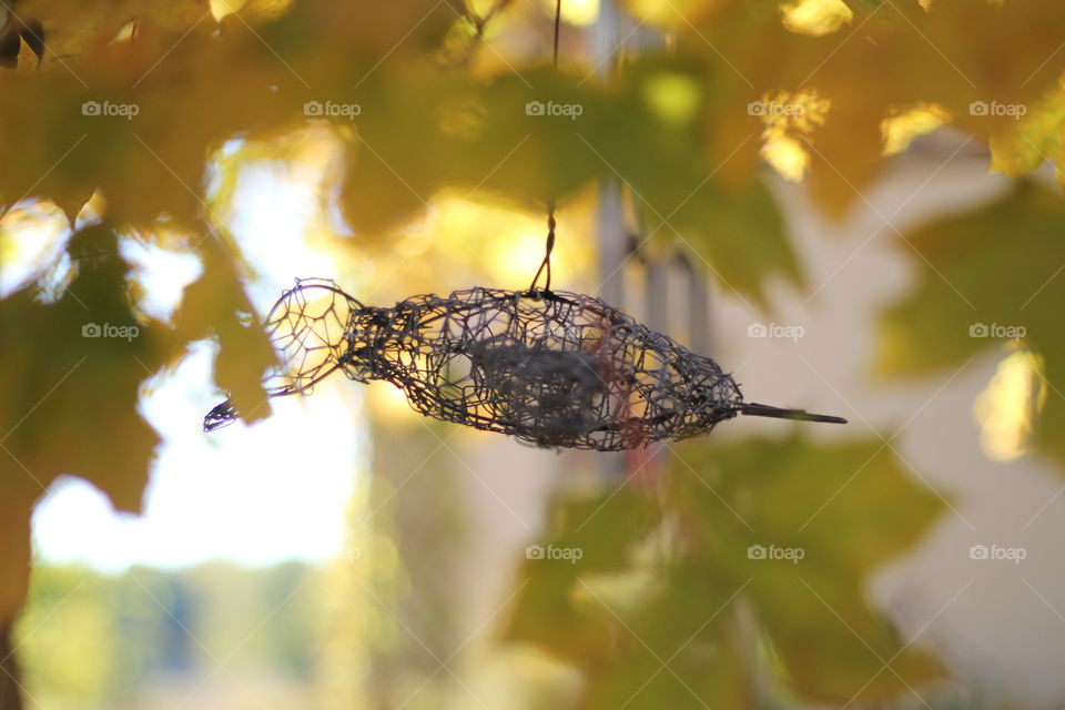 Deco wire bird in fall