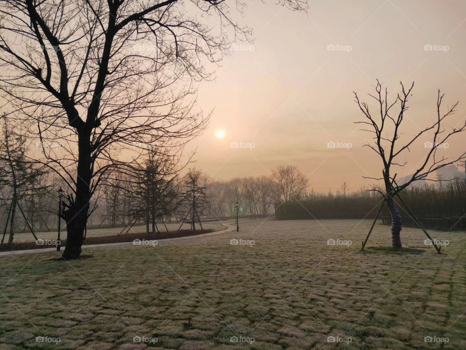   At Dusk And Nightfall