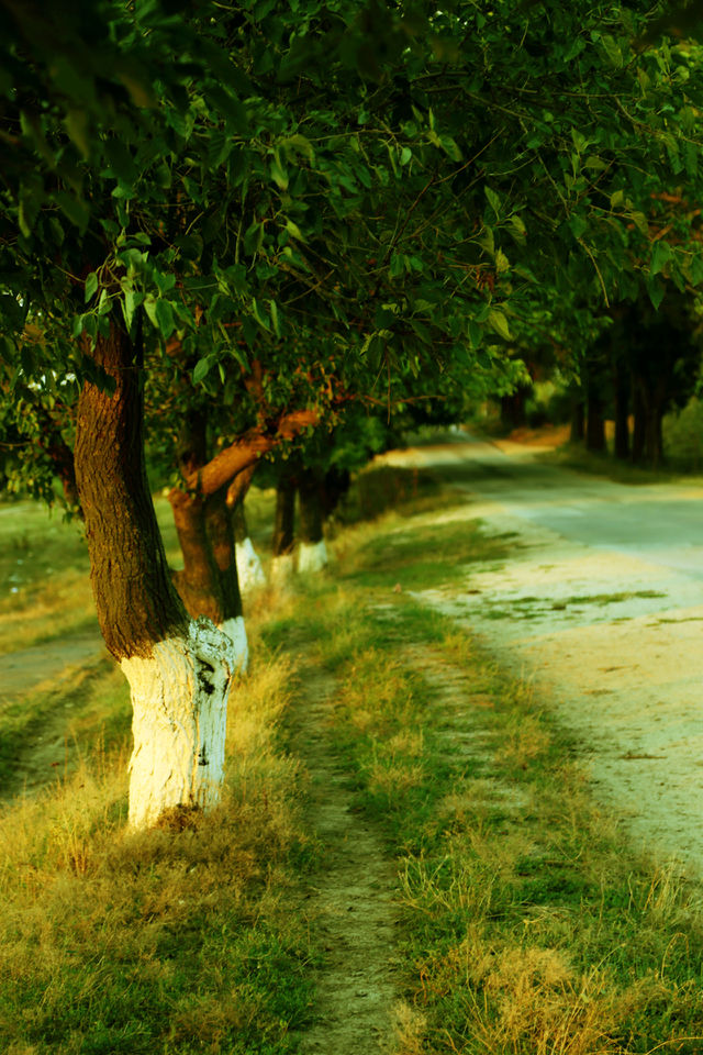 Nature