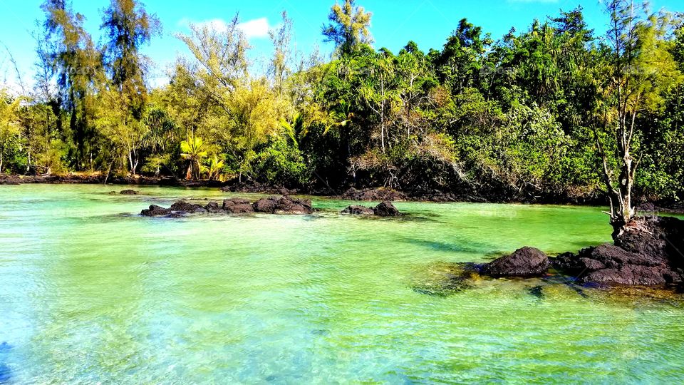 Carlsmith Beach view