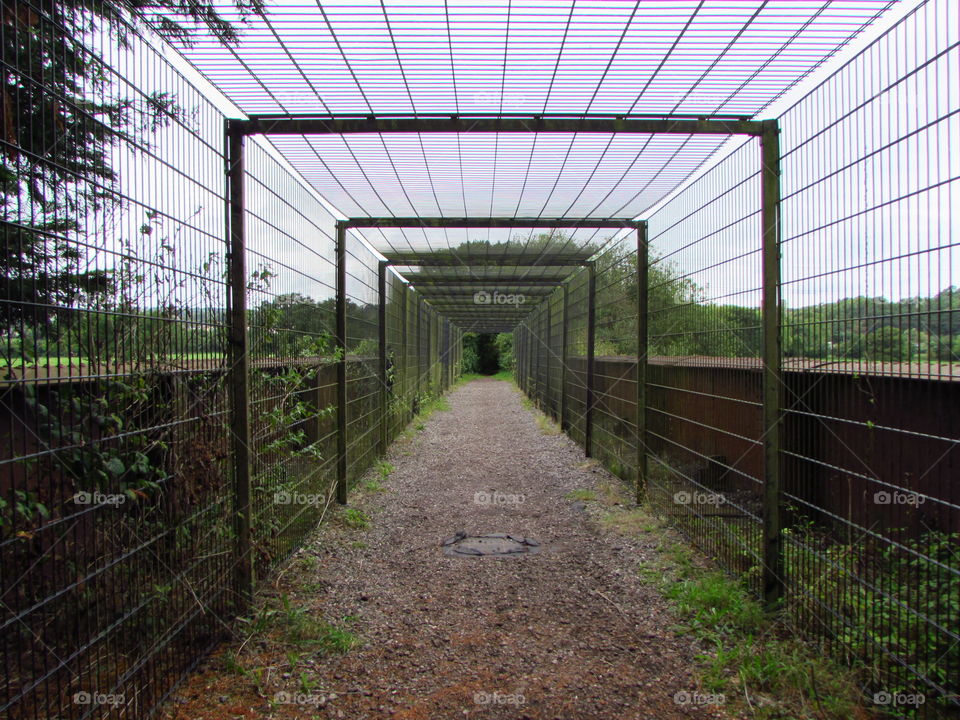 cage tunnel