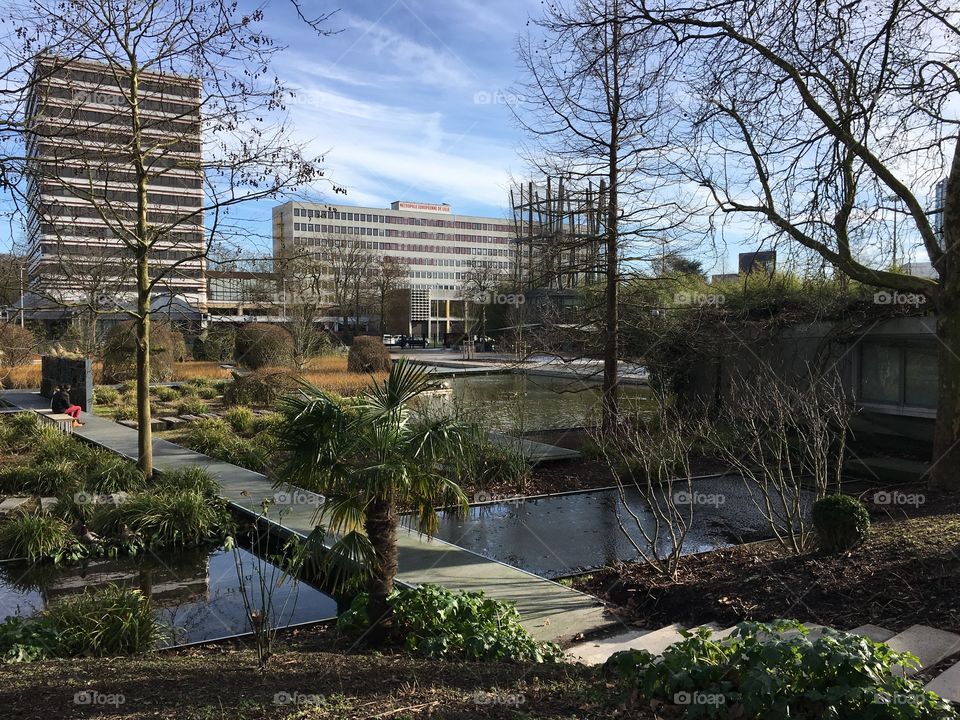 Jardin des géants 