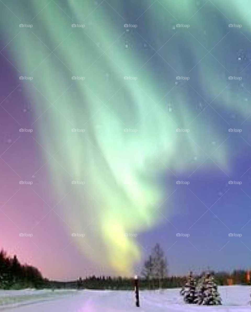 Aurora
