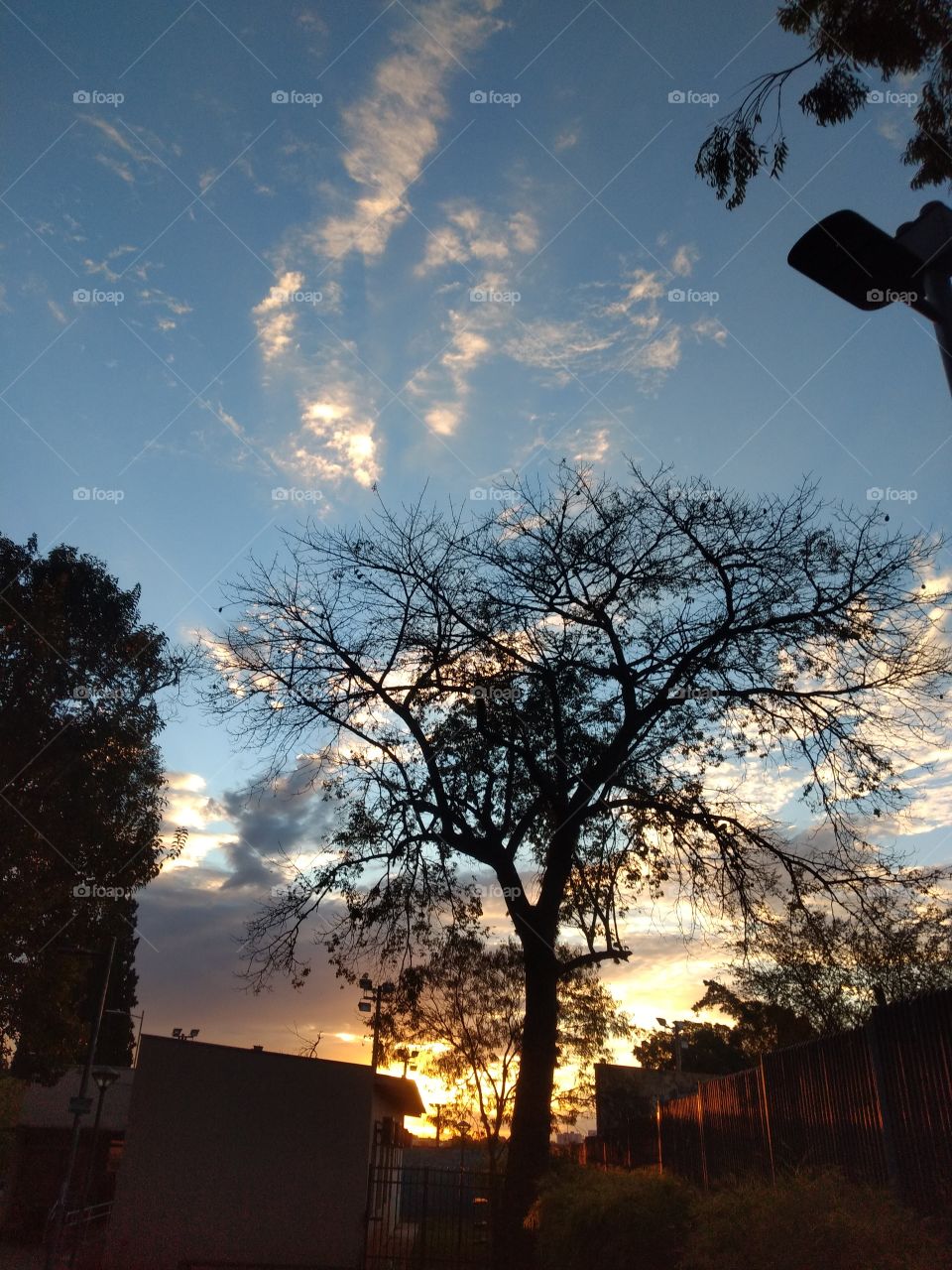 bem vindo foap natureza