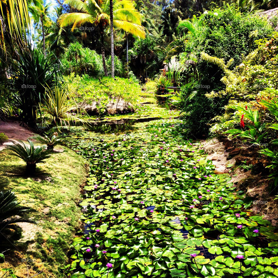 resorts tropics hotels jungles by theemuki