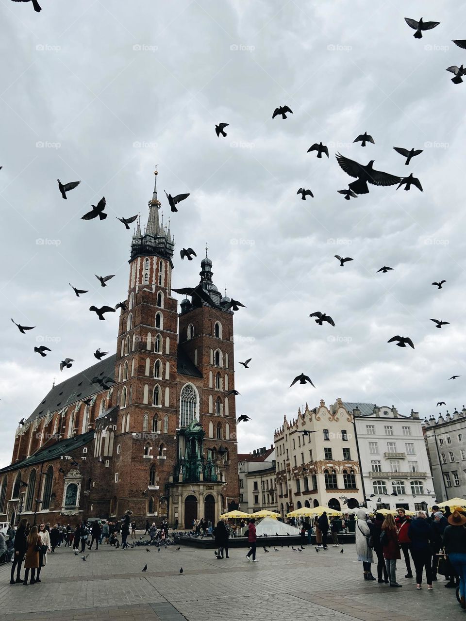 Timeless Krakow Charm: A Moment in Rynek Główny
