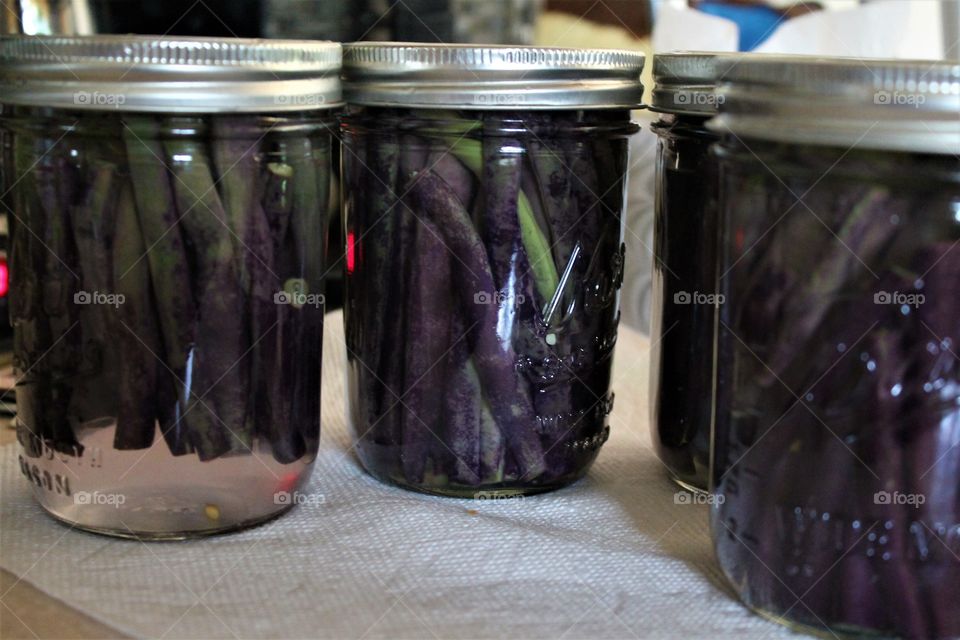canning beans