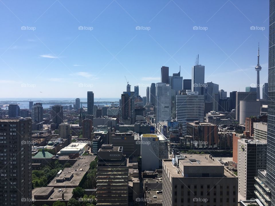 City Views; Toronto Skyline of CN Tower, Buildings, Lake and Trees
