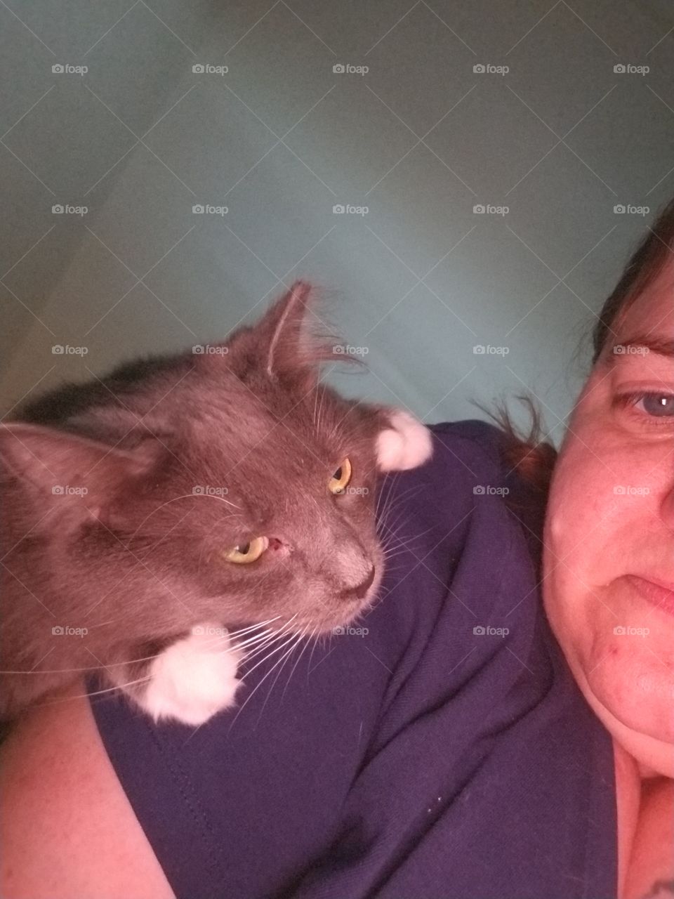 Cat loving her momma