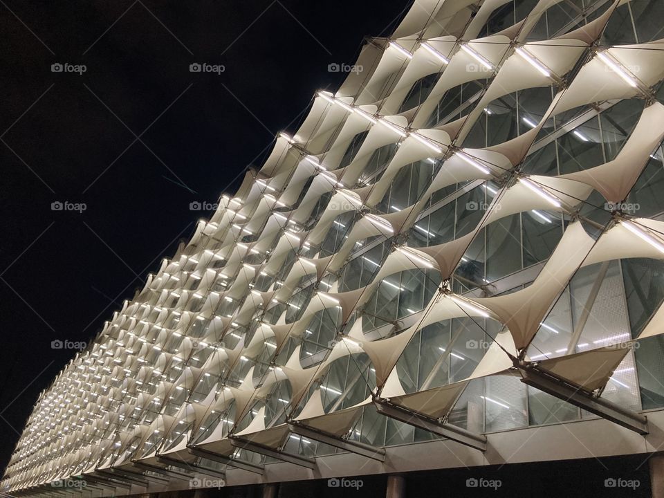 The fahad national library