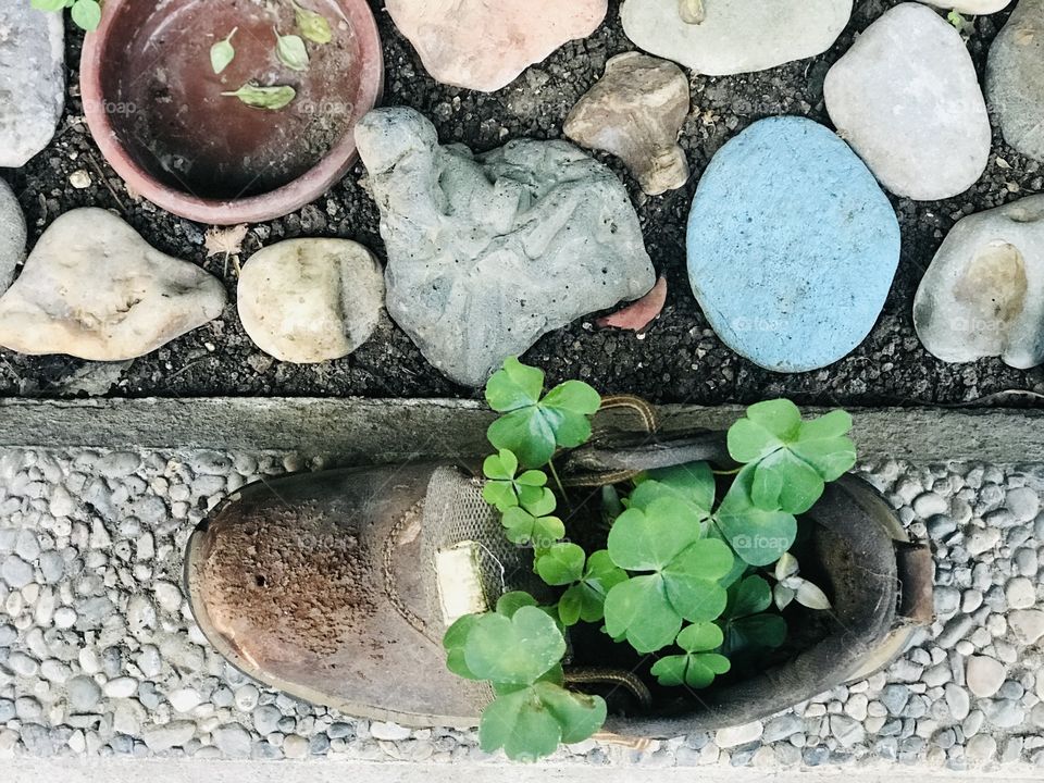 new year resolutions-hope🍀