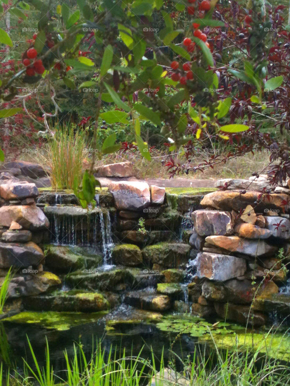 Waterfall Rocks