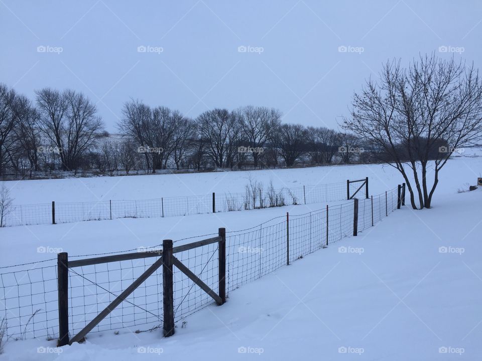 Winter Border