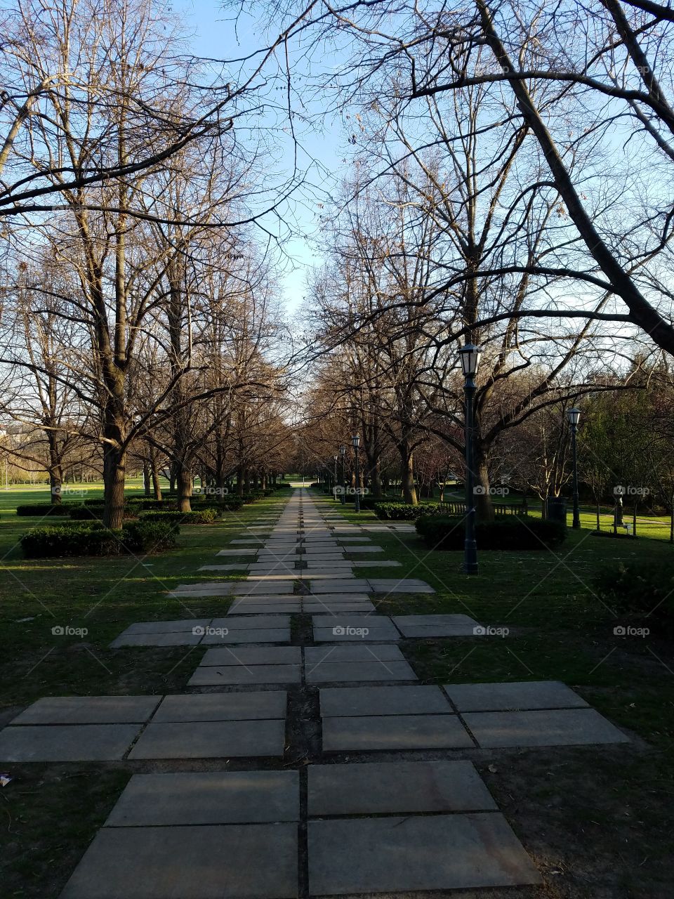 Walkway in a park
